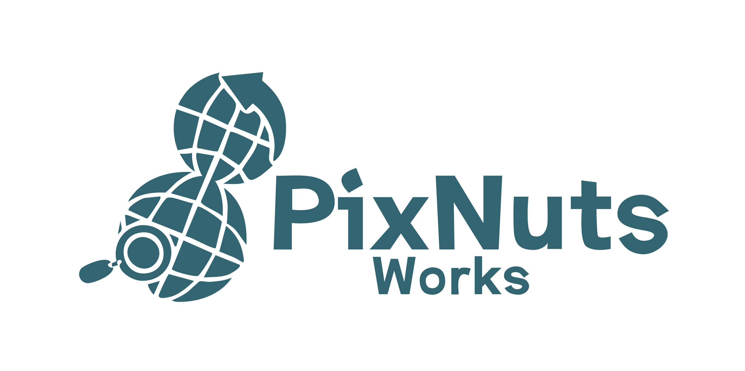 PixNuts Works